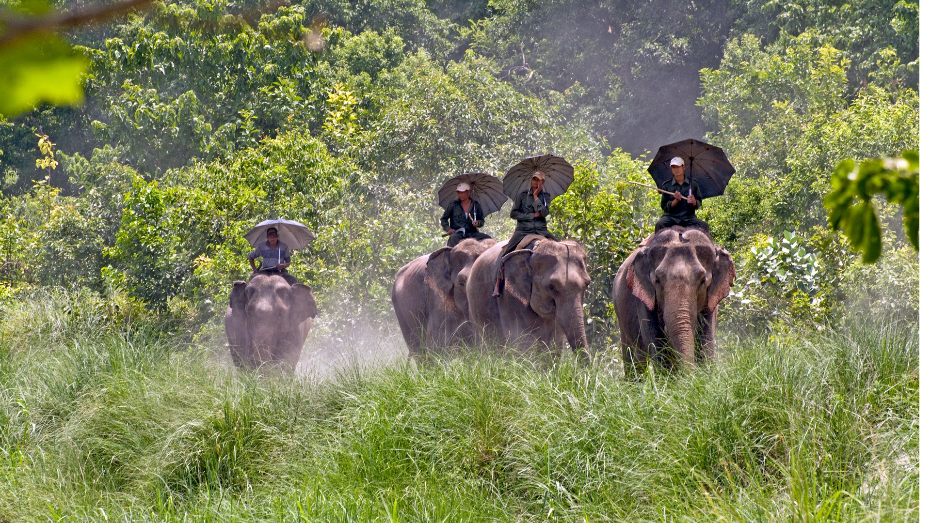 bardia jungle safari tour